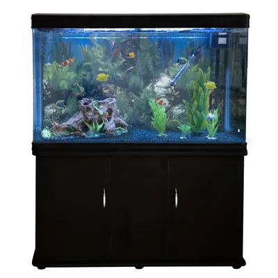 Monstershop Aquarium à bords Noir avec Meuble NOIR