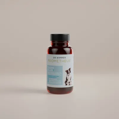 PROMETHEUS® by Dr. Wimmer Intestin Plus