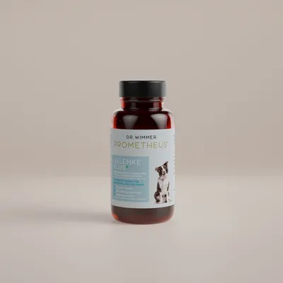PROMETHEUS® by Dr. Wimmer Articulations Plus