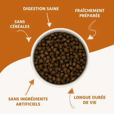Wildfang® Croquettes Junior au poulet pour chiots - sans céréales