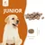 Wildfang® Croquettes Junior au poulet pour chiots - sans céréales