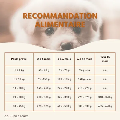 Wildfang® Croquettes Junior au poulet pour chiots - sans céréales