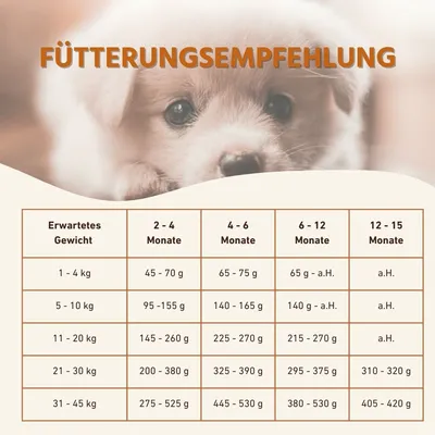 Wildfang Junior Trockenfutter mit Huhn für Welpen Wildfang Junior Trockenfutter mit Huhn für Welpen