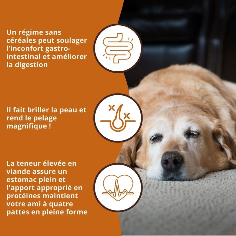 Wildfang® Sensibles - Dinde aux patates douces & canneberges, Sans céréales
