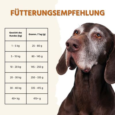 Wildfang Sensitive Trockenfutter mit Truthahn - getreidefrei