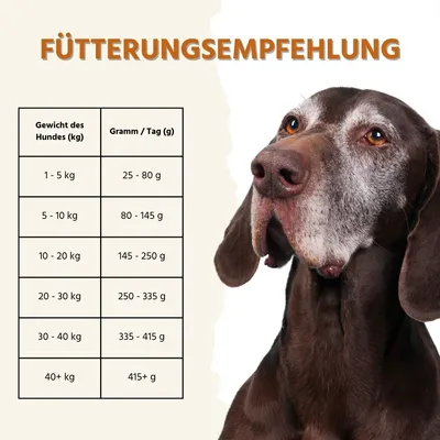 Wildfang Sensitive Trockenfutter mit Truthahn - getreidefrei Wildfang Sensitive Trockenfutter mit Truthahn - getreidefrei