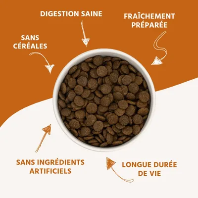Wildfang® Sensibles - Dinde aux patates douces & canneberges, Sans céréales