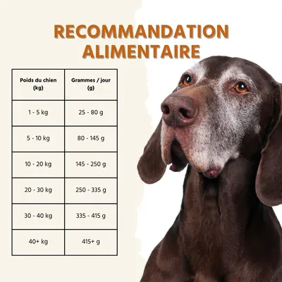 Wildfang® Sensibles - Dinde aux patates douces & canneberges, Sans céréales