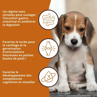 Wildfang® Croquettes Junior au poulet pour chiots - sans céréales