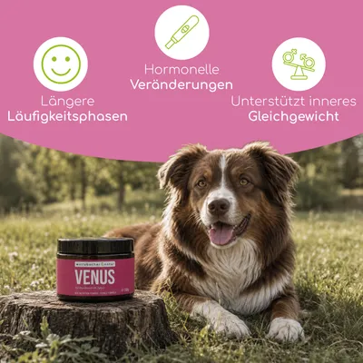 Wolfsbacher Natur Venus Balance Pulver Wolfsbacher Natur Venus Balance Pulver