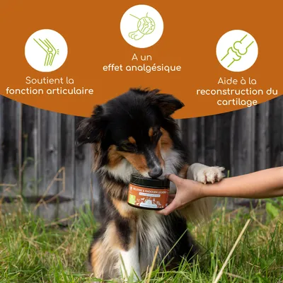 Wolfsbacher Natur Snacks fonctionnels Articulations & Os