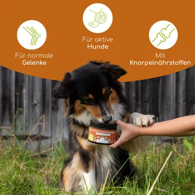 Wolfsbacher Natur Gelenke & Knochen Leckerli