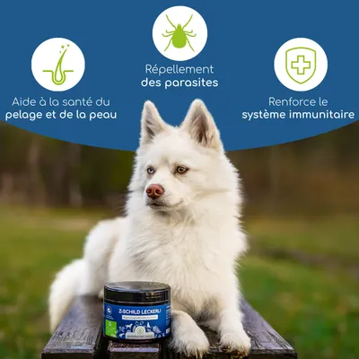 Wolfsbacher Natur Snacks fonctionnels Z-Bouclier