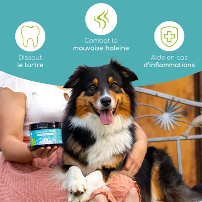 Wolfsbacher Natur Snacks fonctionnels Soins dentaires