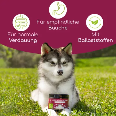 Wolfsbacher Natur Magen & Darm Leckerli
