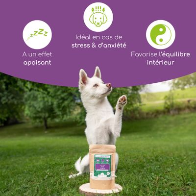 Wolfsbacher Natur Poudre aux plantes pour chiens