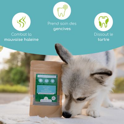 Wolfsbacher Natur Poudre aux algues Ascophyllum nodosum pour chiens