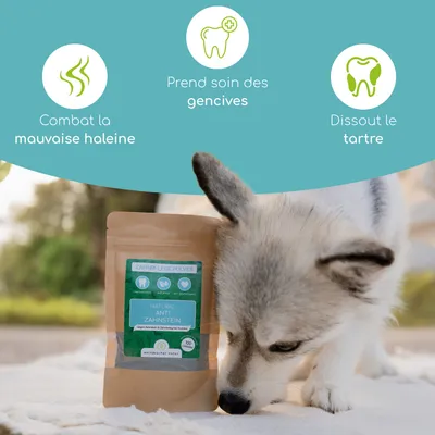 Wolfsbacher Natur Poudre pour soins dentaires