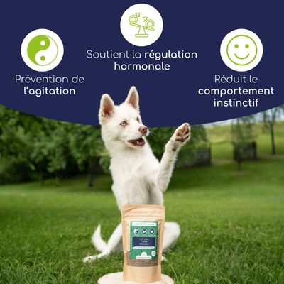 Wolfsbacher Natur Poudre Libido Balance pour chiens