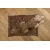 TrendPet Relax Hundedecke Katzendecke