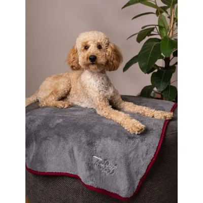 TrendPet Ruby Couverture séchante