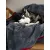 TrendPet Ruby Kuscheldecke und Trocknungsdecke TrendPet Ruby Kuscheldecke und Trocknungsdecke
