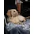 TrendPet Coco Couverture toute douce TrendPet Coco Couverture toute douce