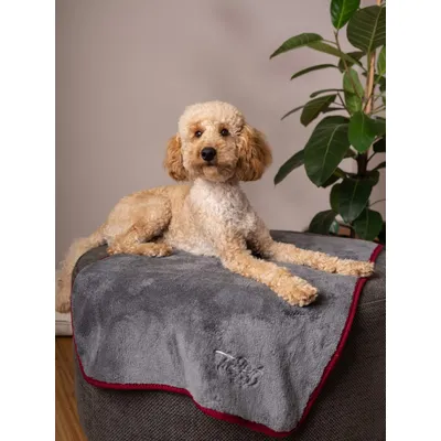 TrendPet Ruby Couverture séchante