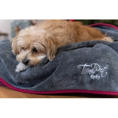 TrendPet Ruby Couverture séchante