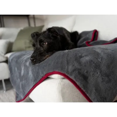 TrendPet Ruby Kuscheldecke und Trocknungsdecke TrendPet Ruby Kuscheldecke und Trocknungsdecke