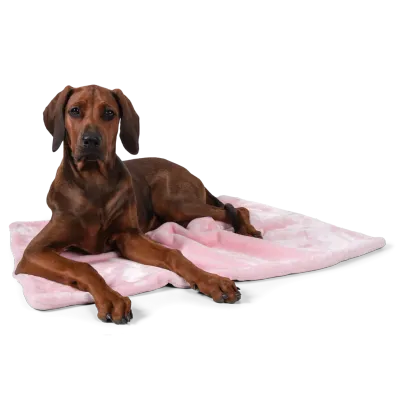 TrendPet Coco - Kuscheldecke für Hunde und Katzen TrendPet Coco - Kuscheldecke für Hunde und Katzen