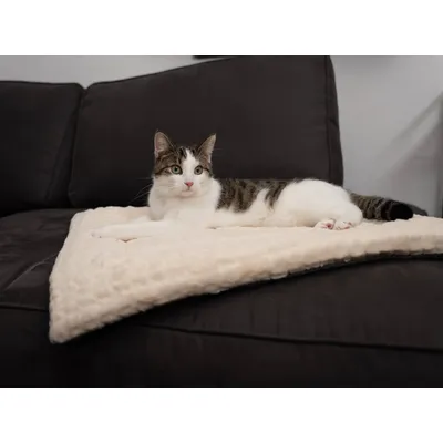 TrendPet Heaven couverture de lit doublée