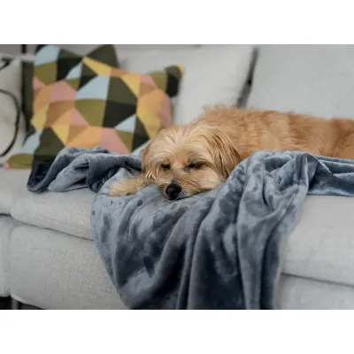 TrendPet Coco - Kuscheldecke für Hunde und Katzen TrendPet Coco - Kuscheldecke für Hunde und Katzen
