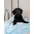 TrendPet Coco Couverture toute douce TrendPet Coco Couverture toute douce