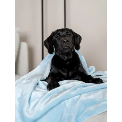 TrendPet Coco Couverture toute douce TrendPet Coco Couverture toute douce