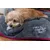 TrendPet Ruby Couverture séchante TrendPet Ruby Couverture séchante