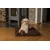 TrendPet VitaMedog matelas orthopédique 5 cm TrendPet VitaMedog matelas orthopédique 5 cm