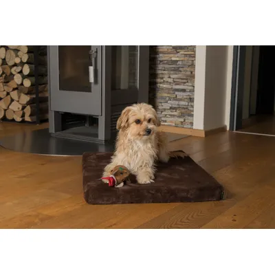TrendPet VitaMedog matelas orthopédique 5 cm TrendPet VitaMedog matelas orthopédique 5 cm