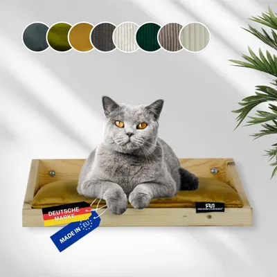 Rohrschneider Marche d'escalade naturelle avec coussin