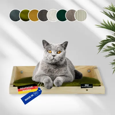 Rohrschneider Marche d'escalade naturelle avec coussin