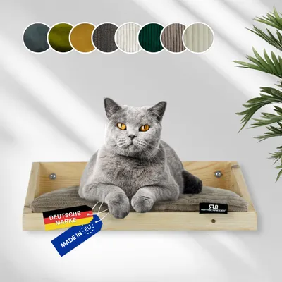 Rohrschneider Marche d'escalade naturelle avec coussin