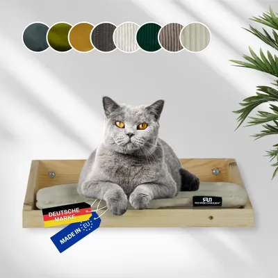 Rohrschneider Marche d'escalade naturelle avec coussin Rohrschneider Marche d'escalade naturelle avec coussin