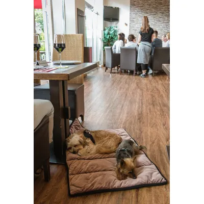 TrendPet mon plafond de restaurant