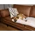 TrendPet Harmony Creme couverture câline