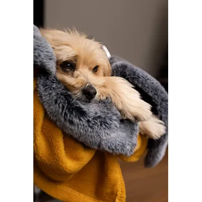 TrendPet Yuma couverture câline