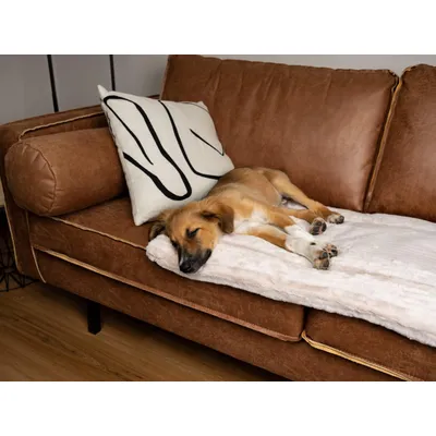 TrendPet Harmony Creme couverture câline TrendPet Harmony Creme couverture câline