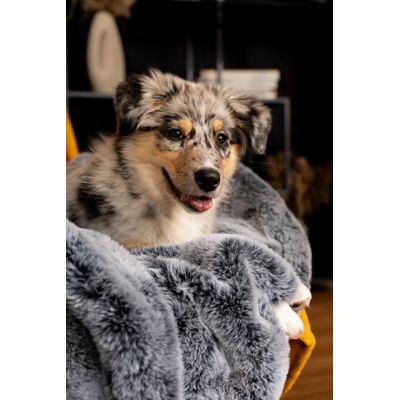 TrendPet Yuma couverture câline