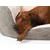 TrendPet VitaBed Classic lit orthopédique pour chiens