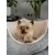 TrendPet VitaBed Classic lit orthopédique pour chiens