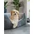 TrendPet VitaBed Classic lit orthopédique pour chiens